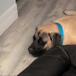 Meet your Posher, Michael